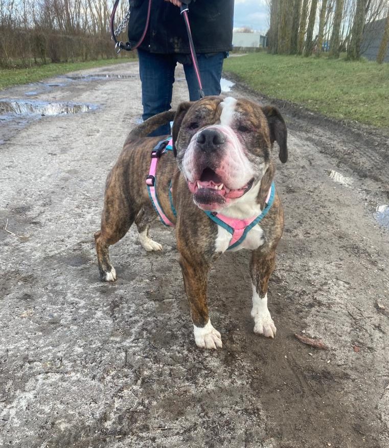 Amy