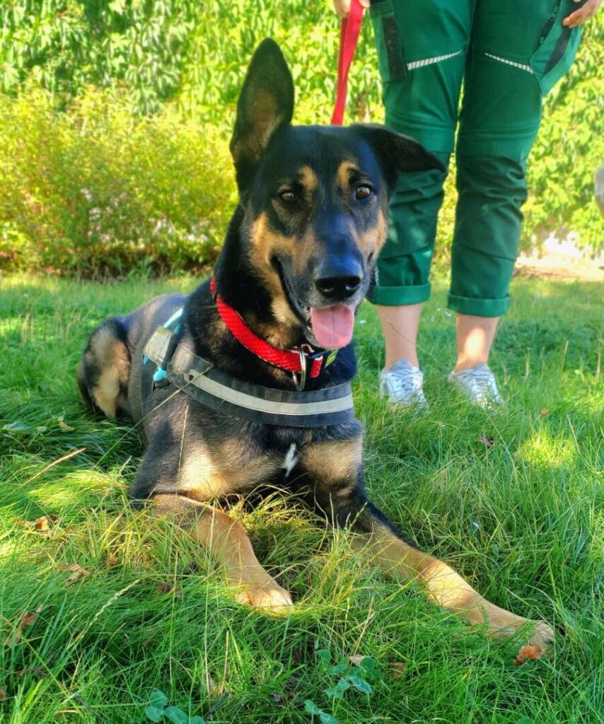 Kiko
