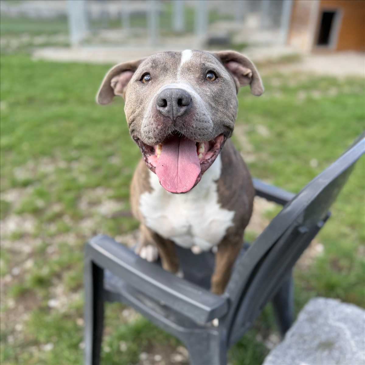 OTTO
