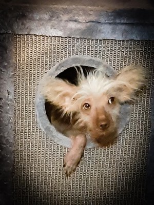 Juanita