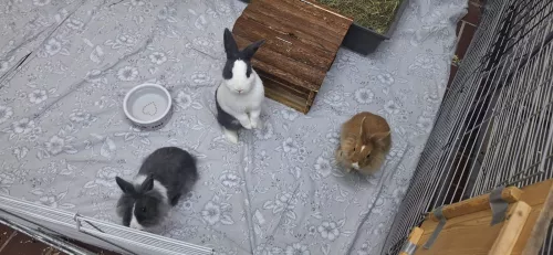 Zimt, Zucker & Salz