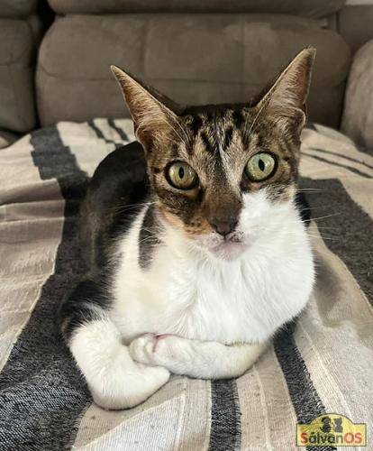 Mia