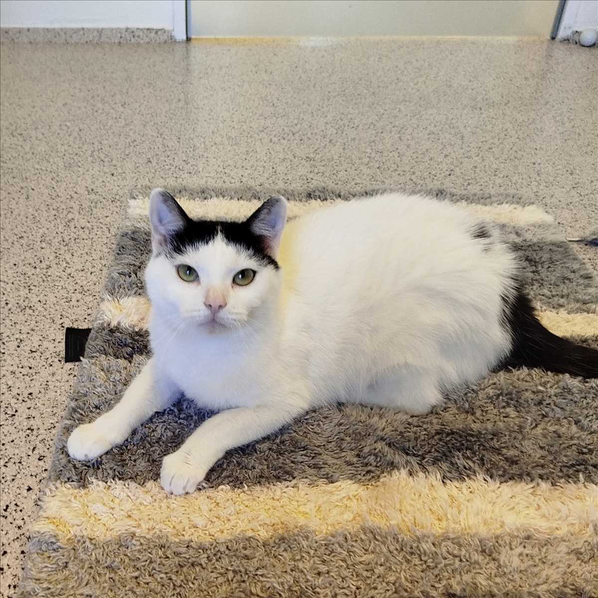 NALA