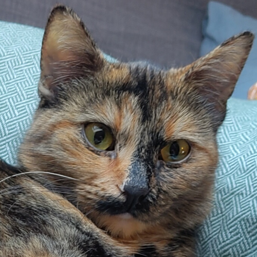 Nala