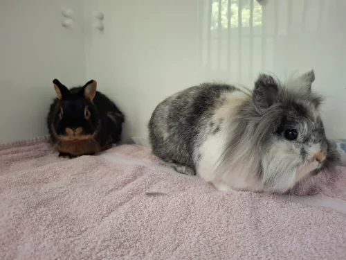 Kiara & Castiel