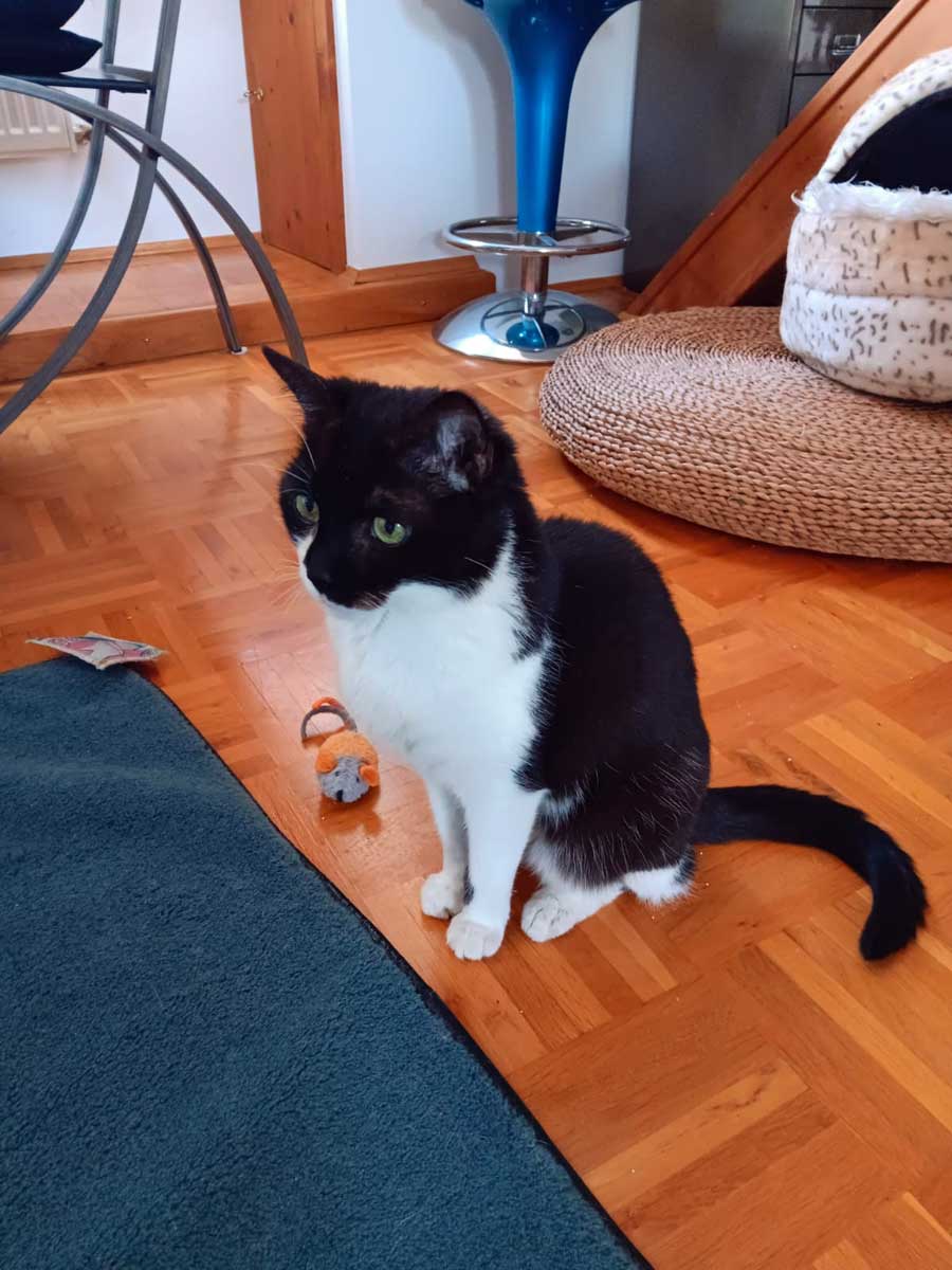 Tapsi