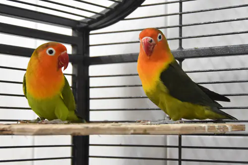 Susi und Lukas