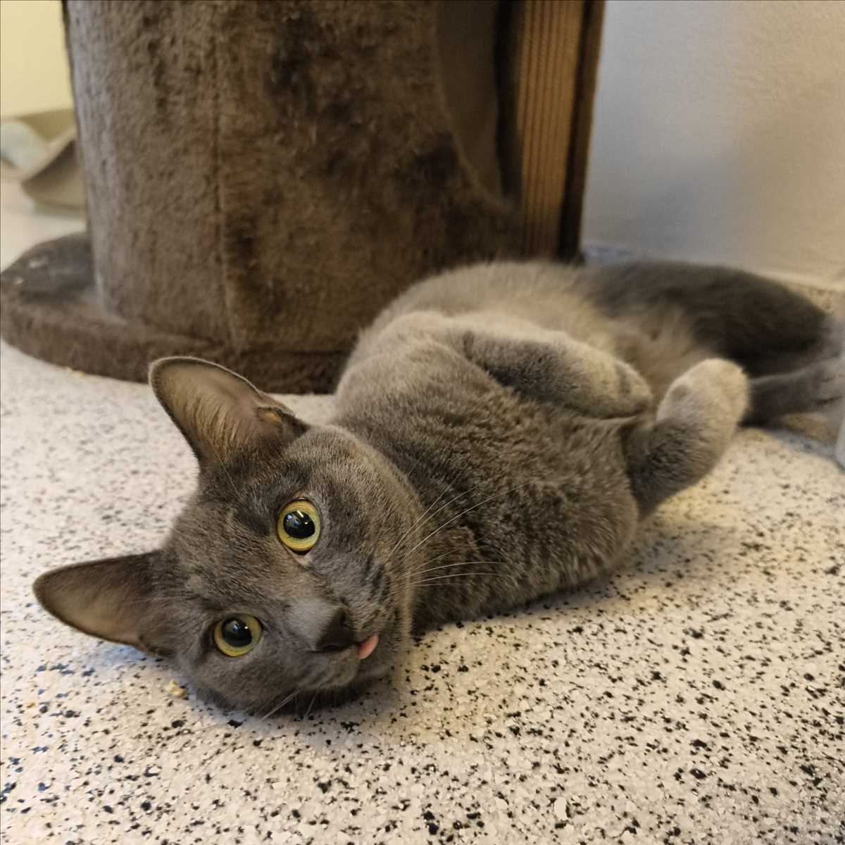 TILLY