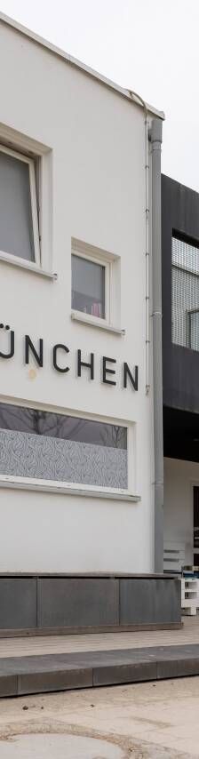Mampfbert – Europäisch Kurzhaar, Männchen, 2 Jahre, 81829 München – Foto 2