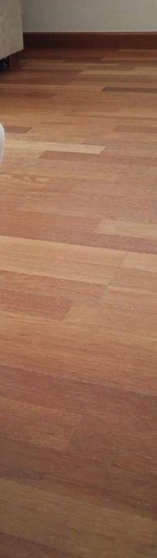 Lucky – Europäisch Kurzhaar, Männchen, 3 Jahre, 65520 Bad Camberg – Foto 13